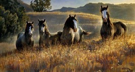 Amazing Grays III by Nancy Glazier Pinto Horses Print Artist Signed - $38.61