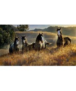 Amazing Grays III by Nancy Glazier Pinto Horses Print Artist Signed - $38.61