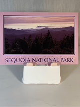 Generals Redwood Highway Unposted Postcard-Colorscope-Sequoia Park California - £2.38 GBP