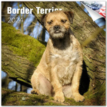 Border Terrier Wall Calendar 2024 Animal DOG PET Lover Gift - $24.74