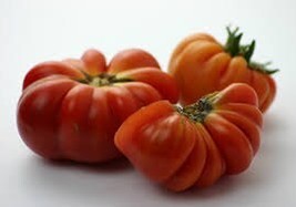 Costoluto Fiorentino Tomato 5 seeds (P 310) - £1.59 GBP