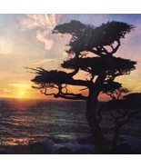 Sunset Tree Water Beach Postcard Vintage poem by Felicia Dorothea Hemans - £8.20 GBP