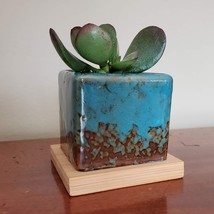 Blue Ice Crack Ceramic Succulent Planter with Live Jade Plant, Crassula Ovata image 3