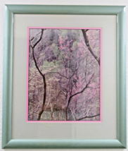 Art Wolfe Photograph Print of Cherry Blossoms Matted and Framed - $550.53 CAD