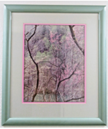 Art Wolfe Photograph Print of Cherry Blossoms Matted and Framed - $395.01