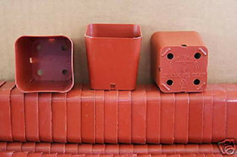 2&quot; NEW square plastic pot terracotta seedling cacti nursery seed 10 pots... - $165.67 MXN