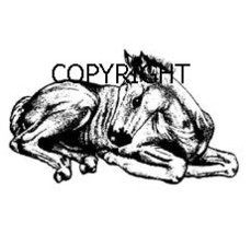 Sitting Foal HORSE-NEW Mounted Rubber Stamp - £4.71 GBP