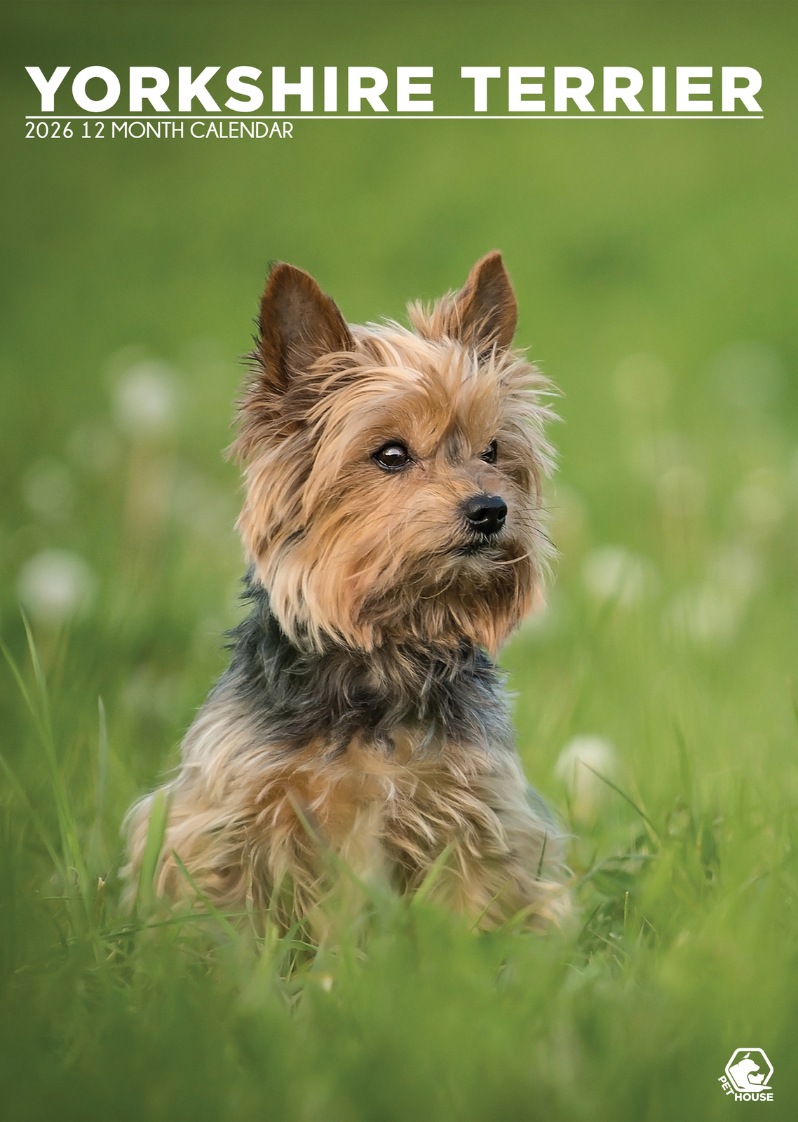 Yorkshire Terrier Calendar 2026 - $19.99