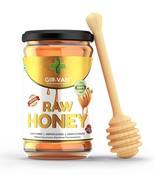 Pure Wild Forest Honey GIR-VAN Forest Organic Honey 500 gms - £23.29 GBP