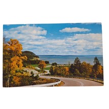 Postcard Fundy National Park Alma New Brunswick Canada Chrome Posted - £5.53 GBP