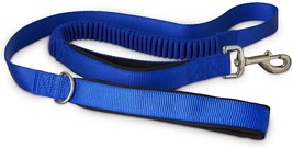 Good2Go Shock Absorbing Dog Leash Nylon Traffic Padded Handle Blue 5 ft. - £15.81 GBP