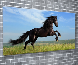 Regal Black Horse Canvas Print Animal Wall Art 55x24 Inch Ready To Hang  - £70.49 GBP