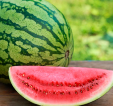 25 Seeds Crimson Sweet Watermelon - $10.00