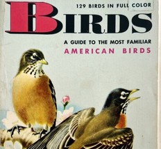American Birds Guide 1956 2nd Edition PB Book Illustrated Pocket Book DWO2 - £23.69 GBP