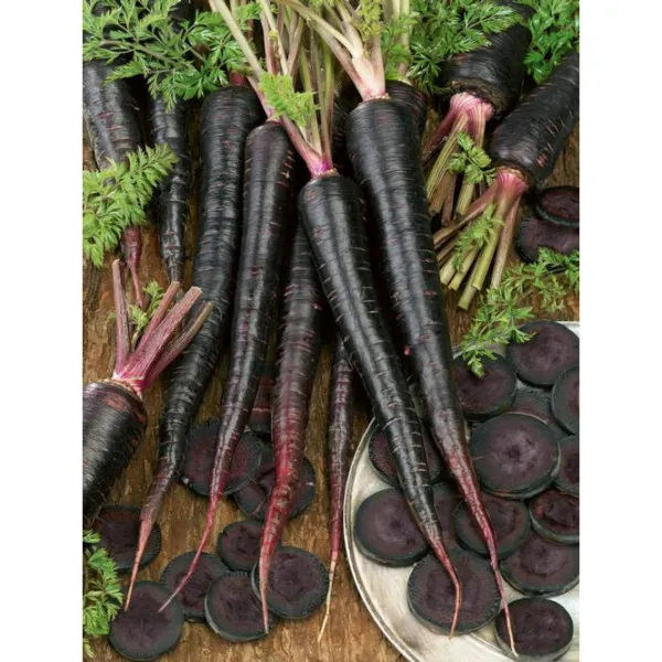 300 Black Nebula Carrot Seeds Non Gmo Heirloom Fresh Garden - $8.98