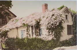 An Old Sconset Cottage Nantucket Island, Massachusettes Postcard - £1.53 GBP