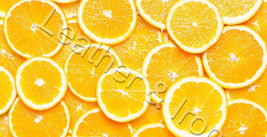 Orange Slices Design Vinyl Checkbook Cover Orange Lovers Fruit - £6.88 GBP