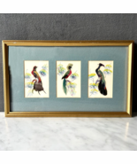 Vintage Mexican Feather Folk Art 3 Exotic Birds Matted Wood Frame 16&quot; x ... - $47.45