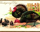 Raphael Tuck Thanksgiving Day Series Turkeys Chicks Embossed 1910s Postcard - $10.84