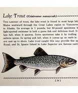 Lake Trout 1939 Fresh Water Fish Art Gordon Ertz Color Plate Print PCBG20 - €25,76 EUR