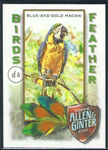 2021 Topps Allen &amp; Ginter #BOF-4 Blue and Gold Macaw Birds of a Feather Insert - £1.11 GBP