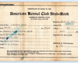 1924 American Kennel Club COLLIE Stud Book Certificate - £22.66 GBP