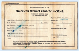 1924 American Kennel Club COLLIE Stud Book Certificate - £23.70 GBP
