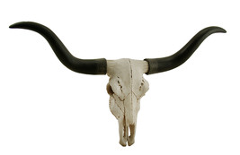 Zeckos Black &amp; Bone Decorative Longhorn Trophy Skull Wall Sculpture 20 Inch - £46.73 GBP