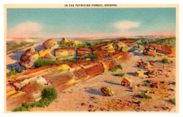 Petrified Forest Landscape View Arizona Linen Ragged Edge Postcard Unposted - £3.87 GBP