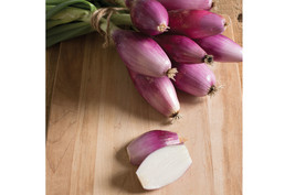 1000 Red Long Of Tropea Onion Seeds Non-Gmo Gourmet Heirloom Garden - £6.26 GBP