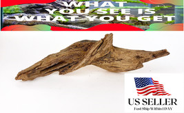 NATURAL MANGROVE DRIFTWOOD #M108 WYSIWYG - AQUASCAPING, SUPER PRICE!! DE... - $24.74