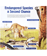 2002 International Paper Poster Life Of A Forest Florida Panther Animals... - €25,76 EUR 2002 International Paper Poster Life Of A Forest Florida Panther Animals... - €25,76 EUR