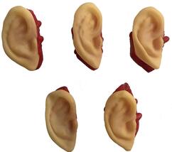 5pc Bloody Body Part Fake HUMAN SEVERED EARS Zombie Hunter Halloween Hor... - €5,88 EUR