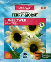 GUNEL Sunflower Italian White Flower Seeds Ferry Morse  - $8.00