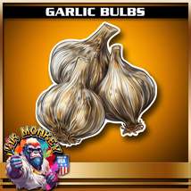 Garlic Bulbs - Decal - £3.53 GBP+