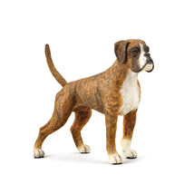 CollectA Boxer Dog Figure (Large) - £28.06 GBP