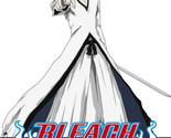 Bleach: Shinigami Collection 4 DVD | Episodes 122-167 | 8 Disc | Region 4 - $40.89