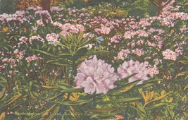 Rock City Gardens Lookout Mountain Tennessee Flowers Linen Postcard Unposted - £7.77 GBP