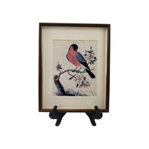 1990&#39;s Bullfinch Eurasian Bird on Tree w Pink Flowers Print Framed - $66.80