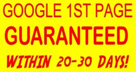 Google 1st Page Rank GUARANTEED Within 20-31 days - $107.99