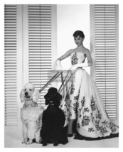 Audrey Hepburn Actress With Dogs Publicity 1954 Photo 8X10 Reprint - £6.66 GBP