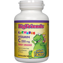Natural Factors Big Friends,VitaminC250mg,4 Healthy Bones,TangyOrange,90... - $13.15