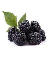 Blackberry 8oz Flavored black leaf tea - $15.29