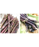 5 Pacific Purple organically grown asparagus 2yr crowns FREE SHIPPING - $41.01 CAD