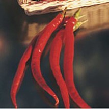 USA Seller Joe&#39;S Long Cayenne Hot Peppers Seeds Fast Shipping - $12.80