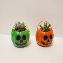 Mini Halloween Succulent Planters, set of 2, Pumpkin Jack O'Lantern Pots