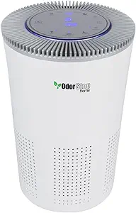 Hepa Air Purifier With H13 Hepa Filter, Uv Light, Active Carbon, Multi-S... - $259.99