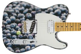 Guitar Skin Axe Wrap Re-skin Wholesome Healthy Vibrant Life Blueberries 429 - $44.50