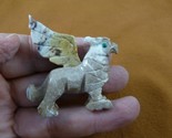 (Y-GRI-3) gray Griffin eagle lion mystic fantasy gem Gemstone carving SO... - $13.09