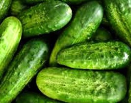 National Pickling Cucumber, Heirloom, NON-GMO Seeds, 25 Cucumber Seeds - $3.18